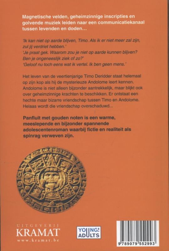 Achterkant van Panfluit met gouden noten