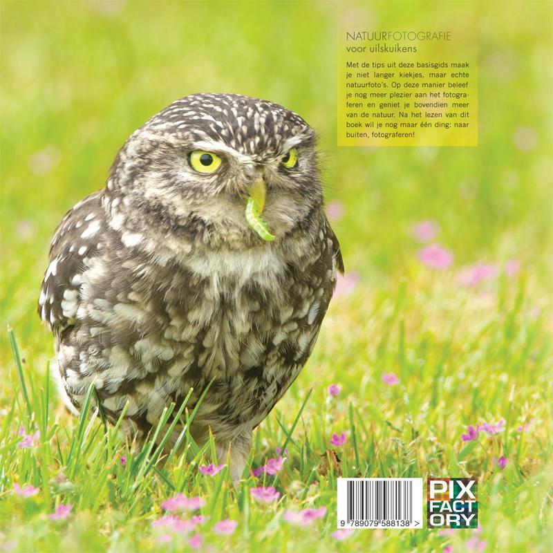 Achterkant van Natuurfotografie voor uilskuikens