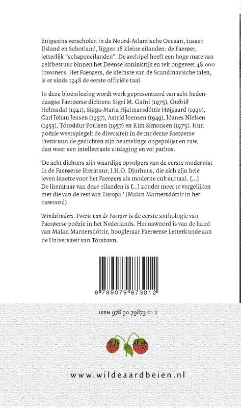 Achterkant van Windvlinders