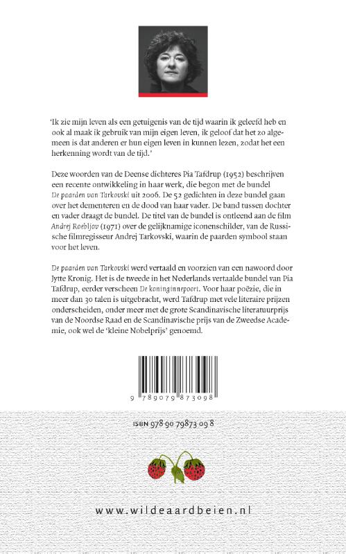 Achterkant van De paarden van Tarkovski