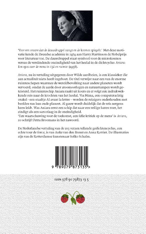 Achterkant van Aniara