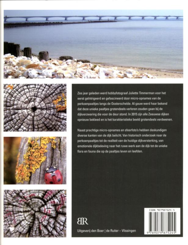 Achterkant van Schoonheid langs de Oosterschelde