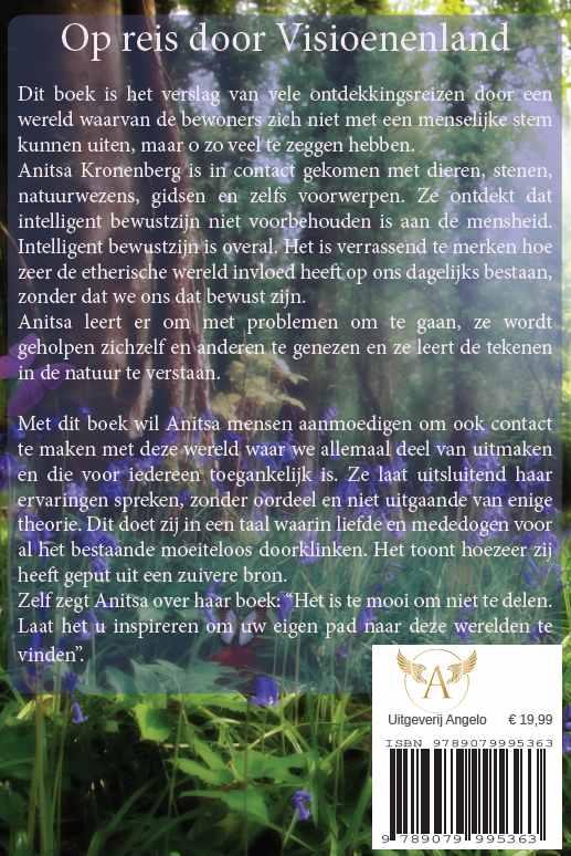 Achterkant van Op reis door visioenenland
