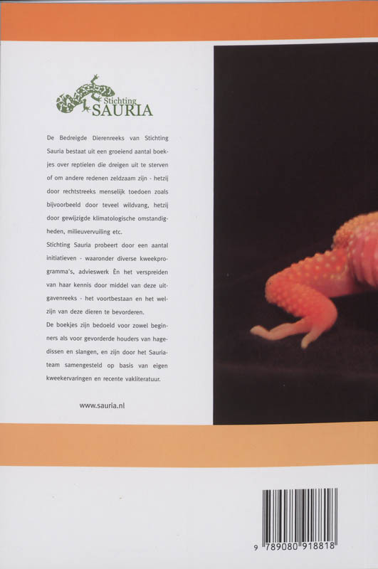 Achterkant van De Luipaardgekko