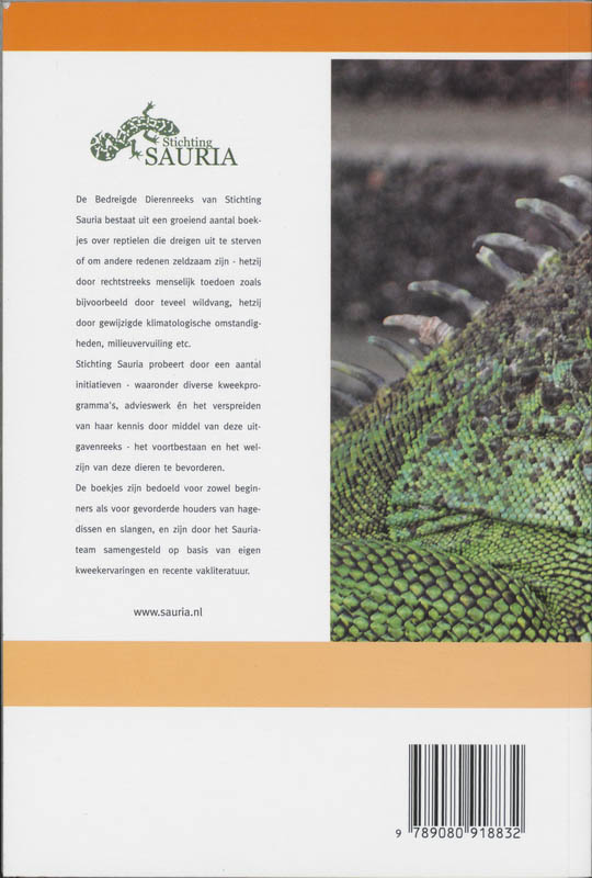 Achterkant van De Groene leguaan