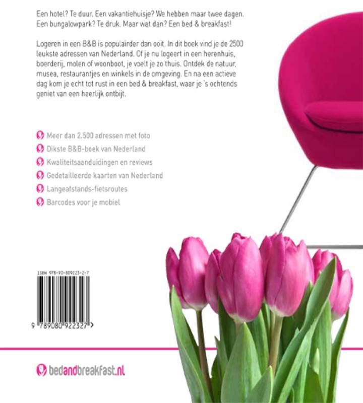 Achterkant van Bed & Breakfast in Nederland