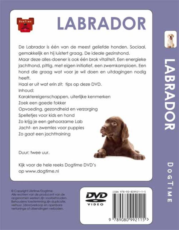 Achterkant van De Labrador Retriever