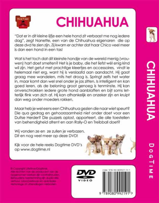Achterkant van Chihuahua