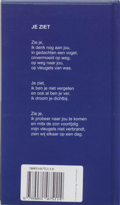 Achterkant van Vertaalde Liefde