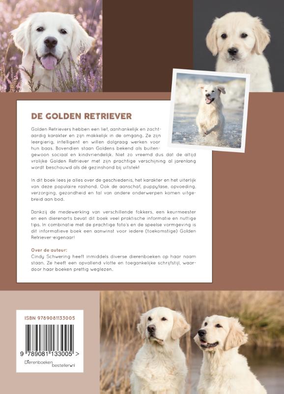 Achterkant van De Golden Retriever
