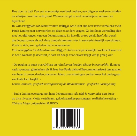 Achterkant van Van schrijfplan tot debuutroman in 40 41 zkv's
