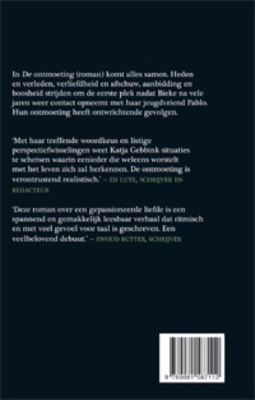 Achterkant van De ontmoeting