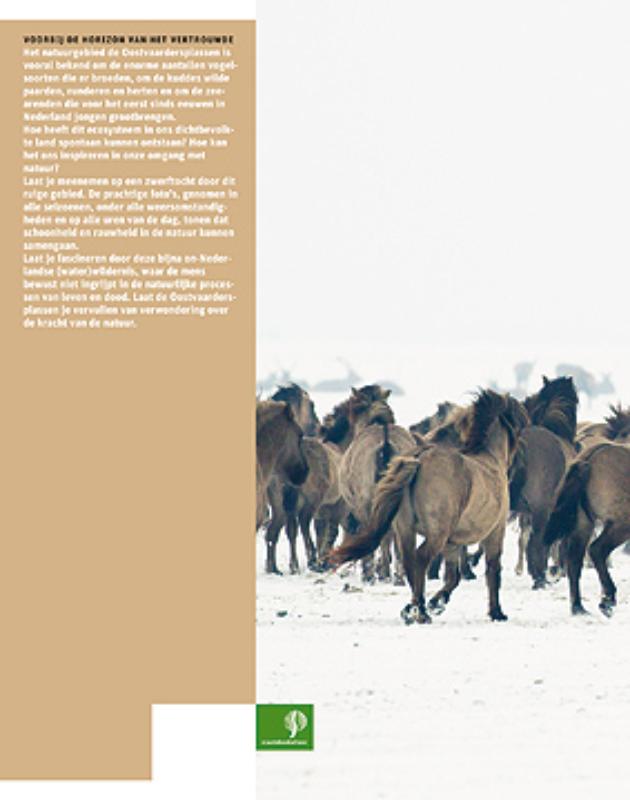 Achterkant van Oostvaardersplassen