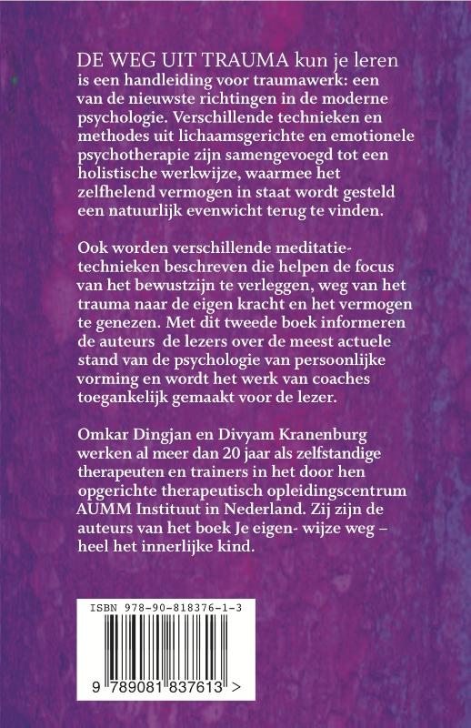 Achterkant van De weg uit trauma kun je leren