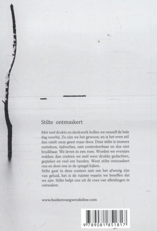 Achterkant van Stilte ontmaskert
