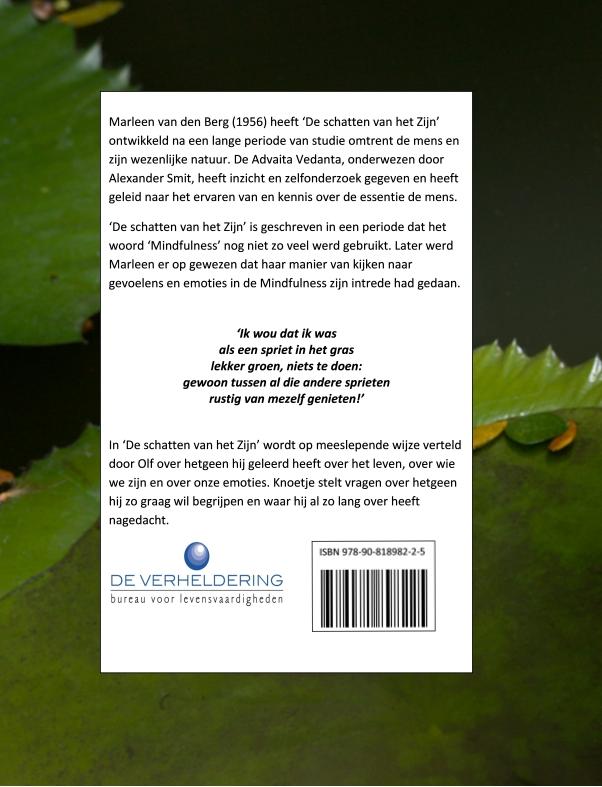 Achterkant van De schatten van het zijn