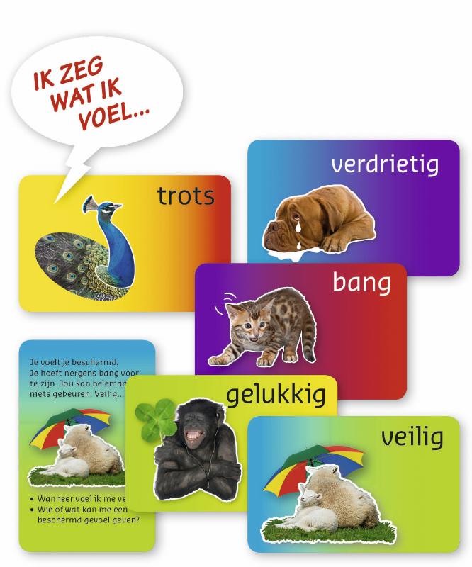 Achterkant van DISPLAY 6x Lekker in je vel spel