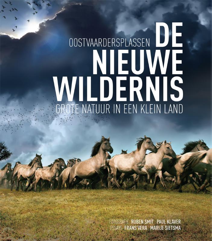 Achterkant van 5 Postcards