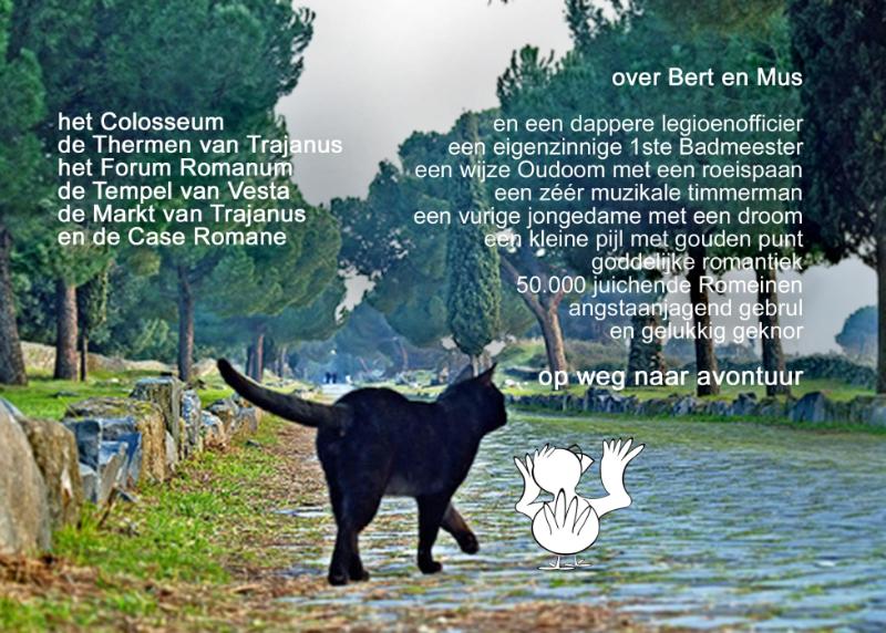 Achterkant van Het Bertje boek