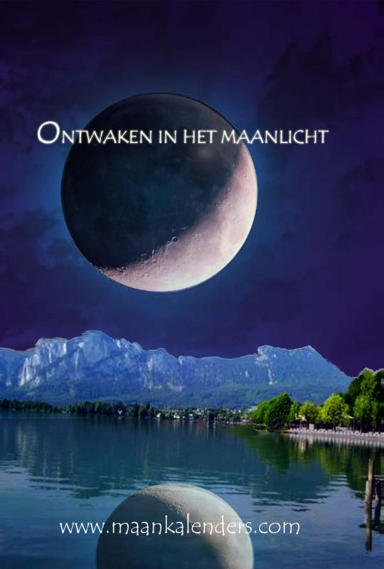 Achterkant van 2020