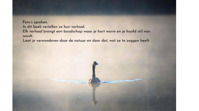 Achterkant van Verborgen verhalen