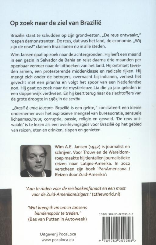 Achterkant van De reus ontwaakt