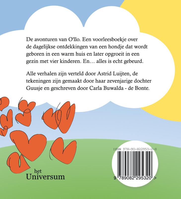 Achterkant van De avonturen van O'llo
