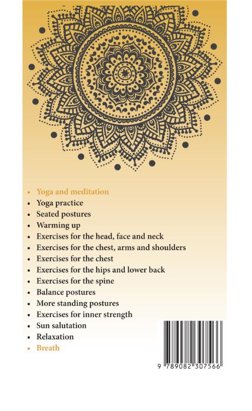 Achterkant van 100+ yoga postures