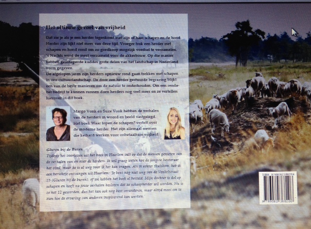 Achterkant van Waar lopen de schapen?