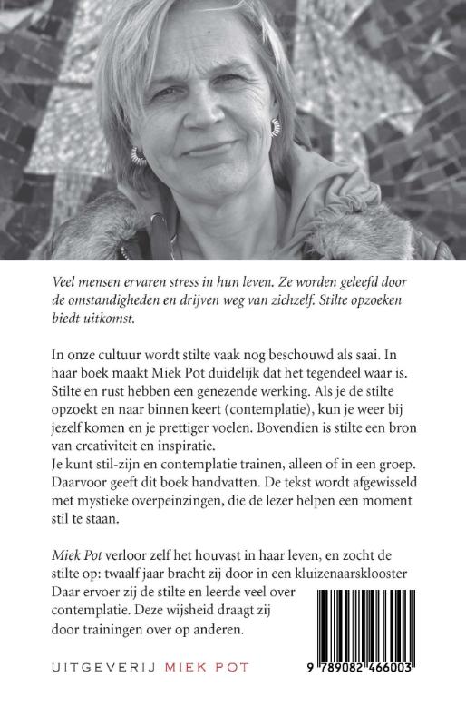 Achterkant van De grote stilte