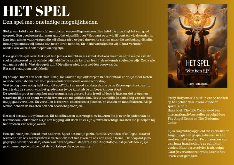 Achterkant van Het Spel