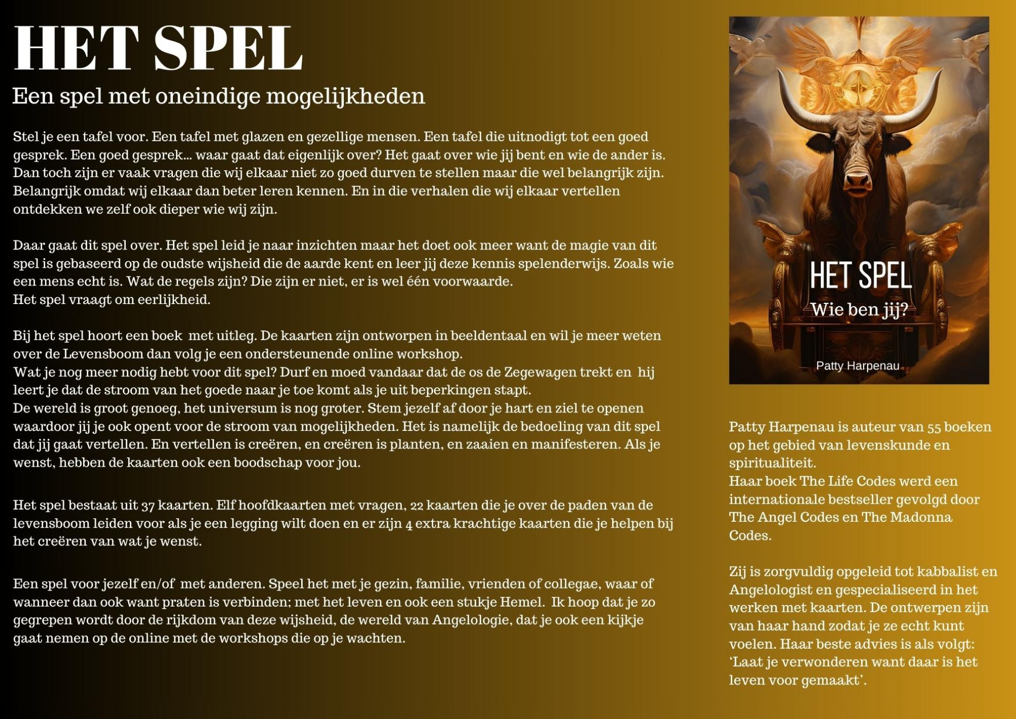 Achterkant van Het spel
