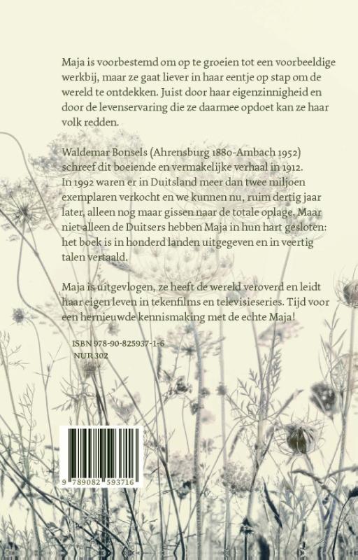 Achterkant van De geschiedenis van Maja de bij