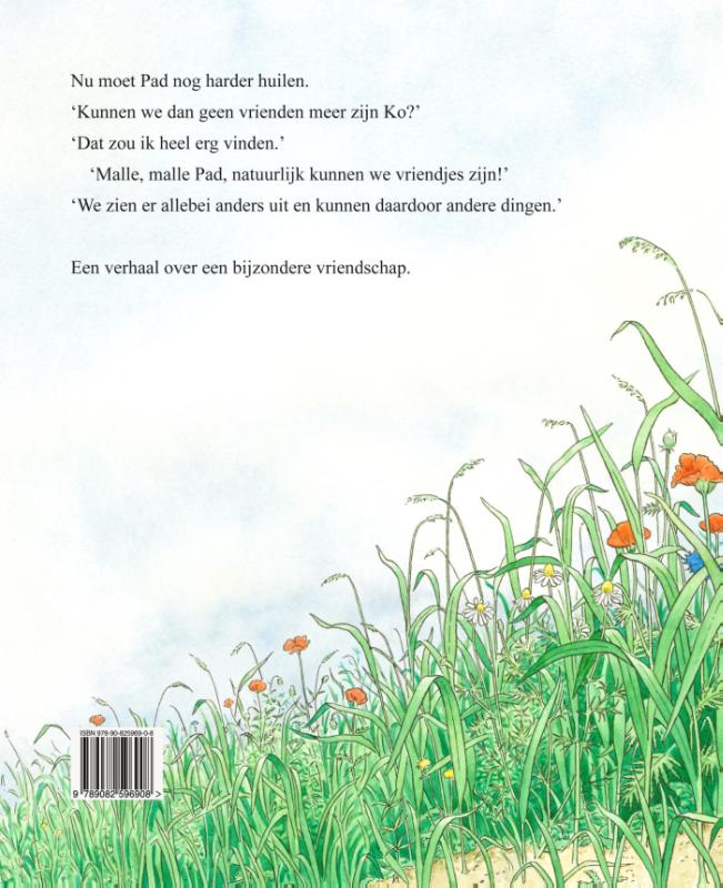 Achterkant van Pad en Ko