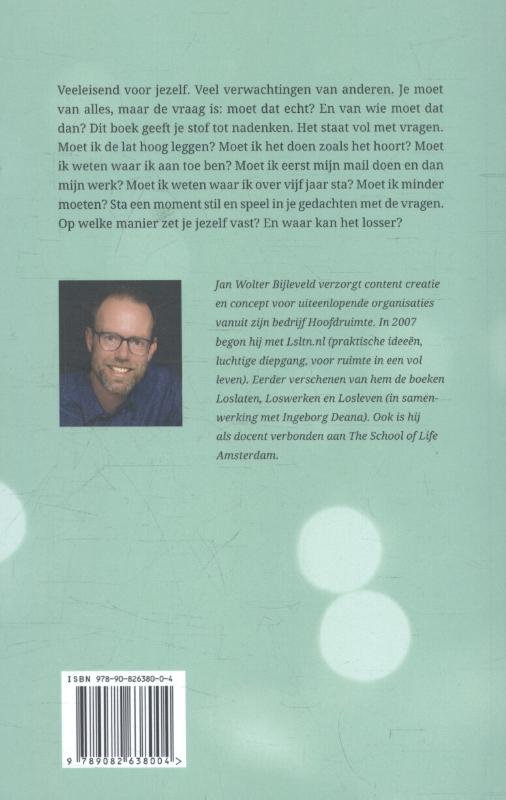 Achterkant van Losser werken