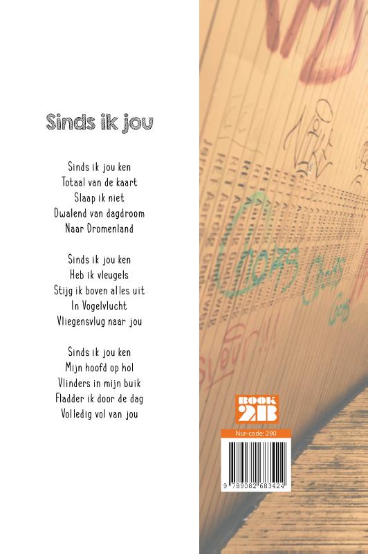 Achterkant van Vriendschap... en meer
