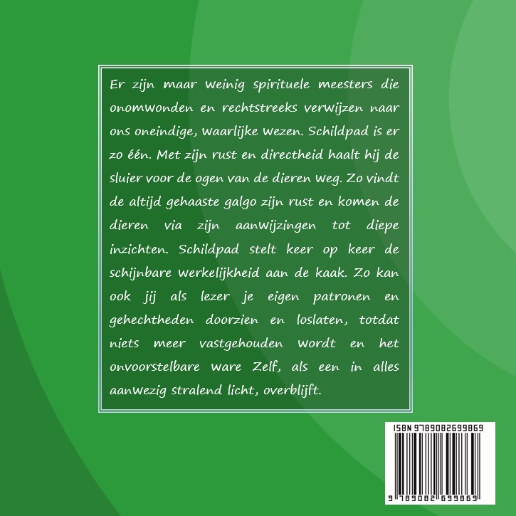 Achterkant van de verlichte schildpad