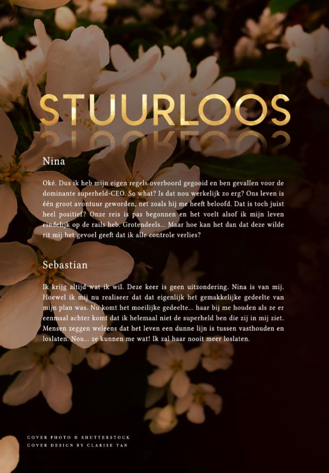 Achterkant van Stuurloos