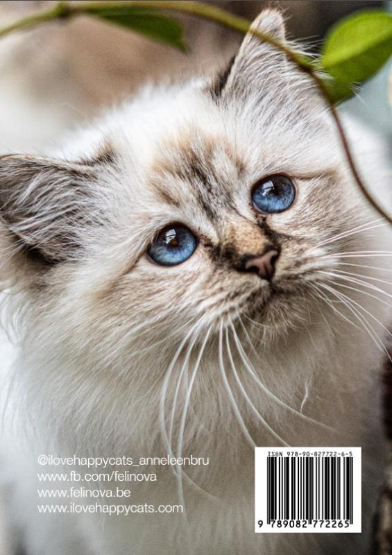 Achterkant van I Love Happy Cats