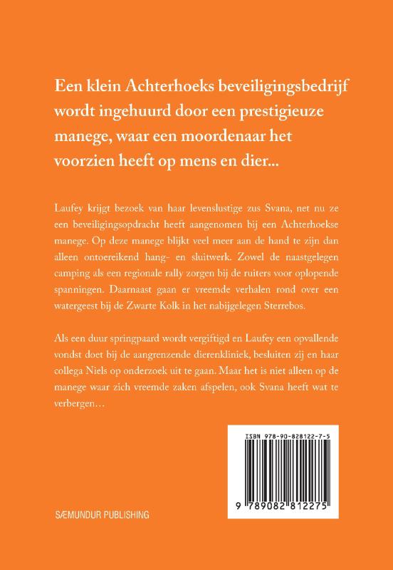 Achterkant van De Vlucht van de Manege