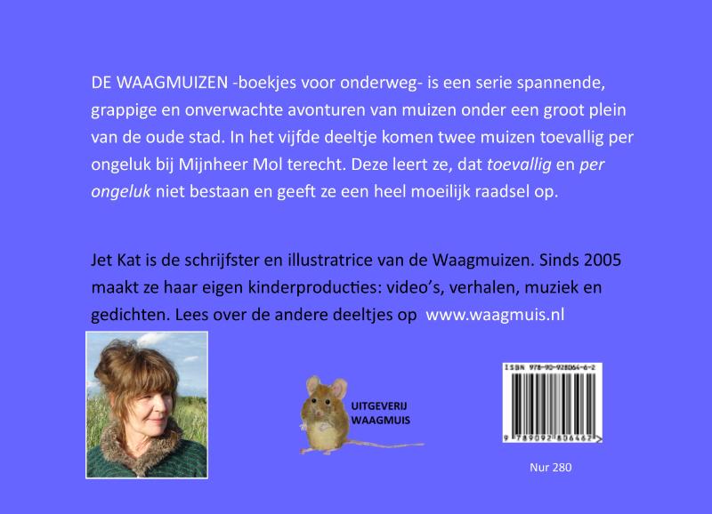 Achterkant van Het Raadsel