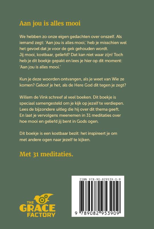 Achterkant van Aan jou is alles mooi