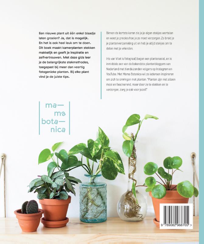 Achterkant van Stek Je Plant