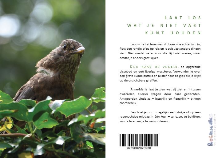 Achterkant van Laat los wat je niet vast kunt houden