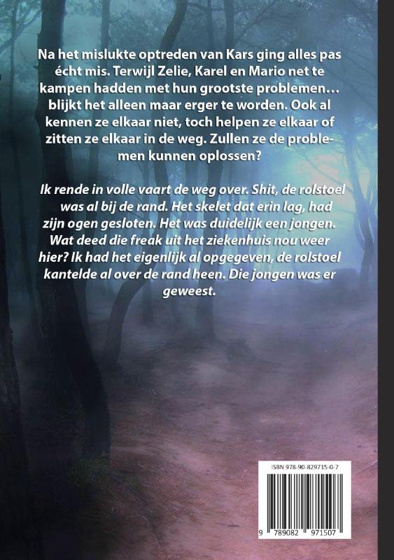 Achterkant van Een dubbeltje met chaos