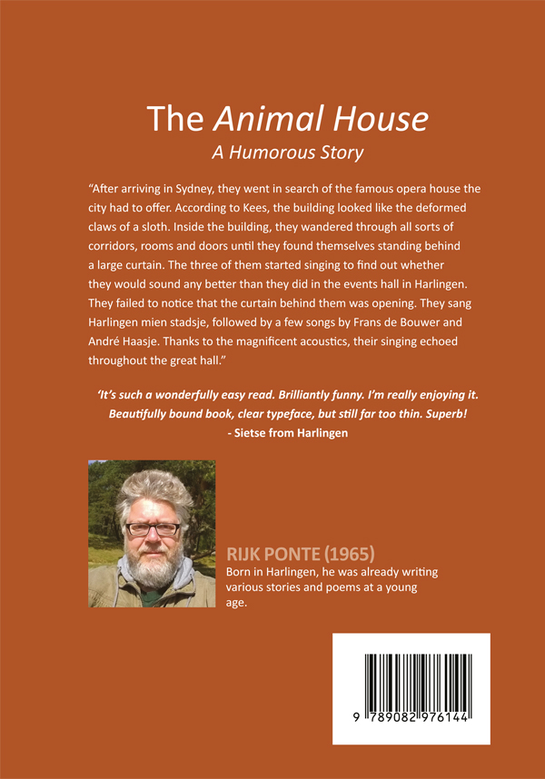 Achterkant van A Humorous Story