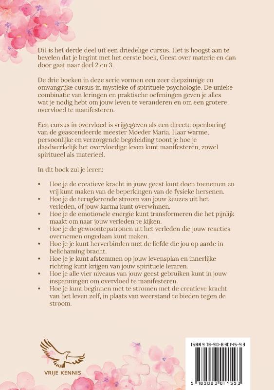 Achterkant van Mijn Levensplan voor Overvloed