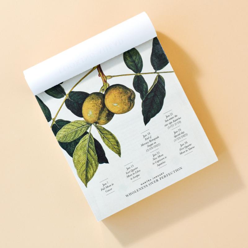 Achterkant van Moon Calendar 2023