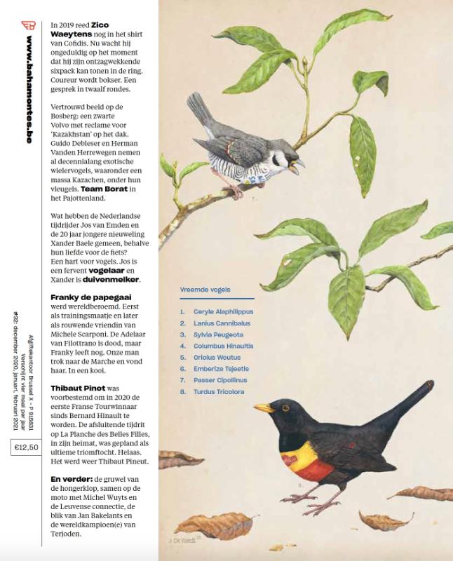 Achterkant van Vreemde Vogels