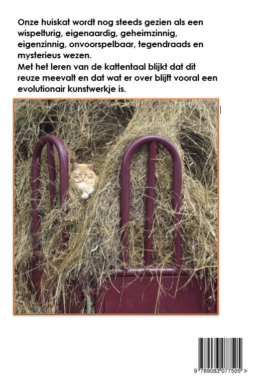Achterkant van Kattentaal